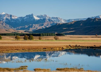 Creating Lasting Memories: Fun Activities for Family Travel