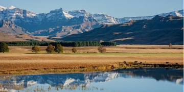 Creating Lasting Memories: Fun Activities for Family Travel