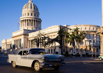 Culinary Hotspots: Food Markets and Street Food Scenes in Vibrant Cities