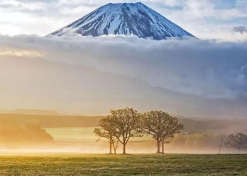 Art and Architecture: Discovering Masterpieces in Museums and Galleries