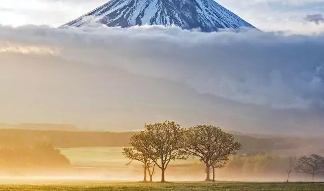 Art and Architecture: Discovering Masterpieces in Museums and Galleries