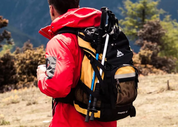 Local Transportation on a Budget: Navigating Cities Without Breaking the Bank