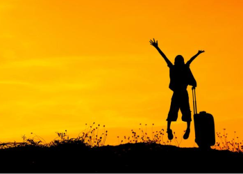 Safari Adventures: Planning the Perfect Wildlife Expedition in Africa