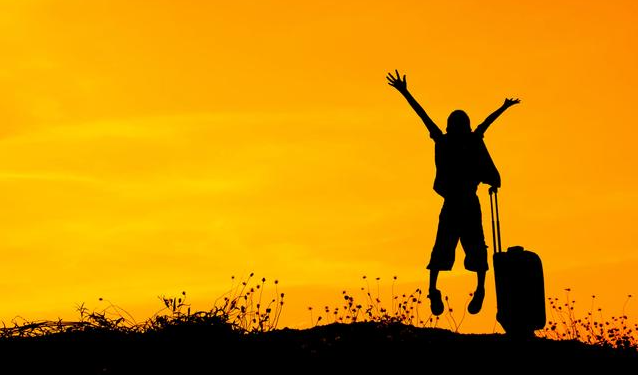 Safari Adventures: Planning the Perfect Wildlife Expedition in Africa